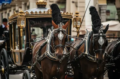 Illustration chaperons - Image 1