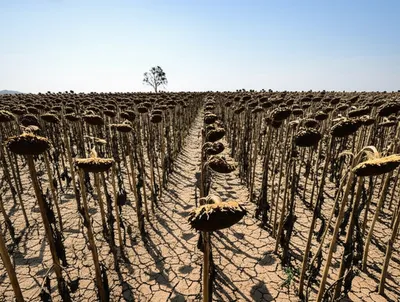 Illustration blasting - Image 1