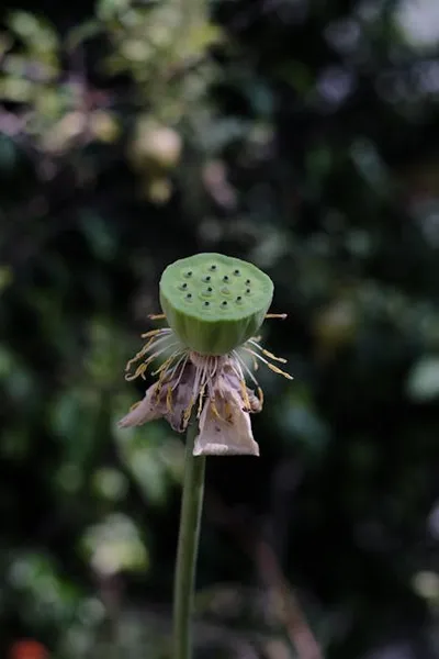 Illustration overblown - Image 2