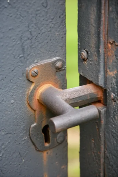 Illustration toe - Image 1