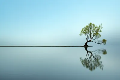 Illustration level - Image 1