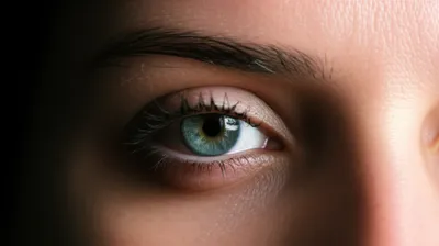 Illustration stare - Image 1