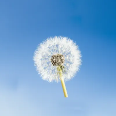 Illustration effortless