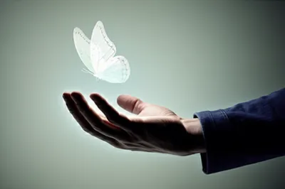 Illustration phantom - Image 1