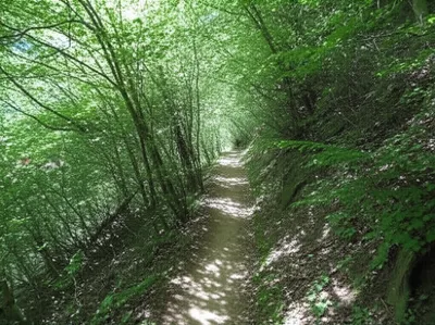 Illustration bent - Image 1