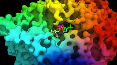 Illustration cofactor - Image 1