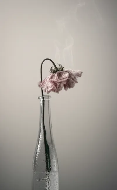 Illustration transpired