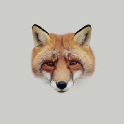 Illustration mask - Image 1