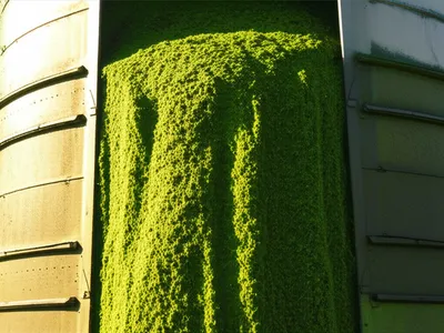 Illustration sillages - Image 1