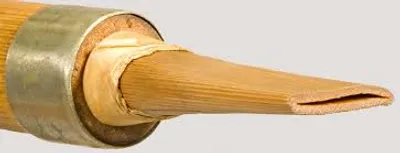 Illustration reed - Image 2