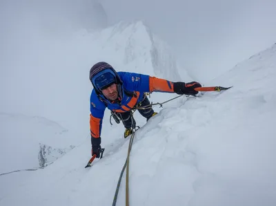 Illustration stayer - Image 1