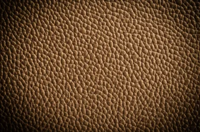 Illustration pebble - Image 1