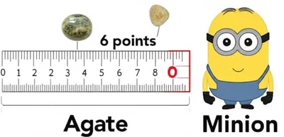 Illustration nonpareils - Image 1