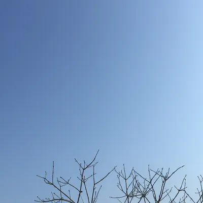 Illustration empty - Image 1