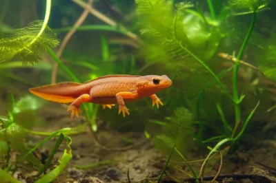 Illustration eft - Image 1