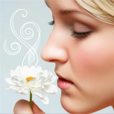 Illustration whiffs - Image 1