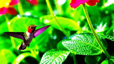 Illustration invigorated - Image 1