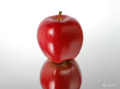 Illustration doubles - Image 1