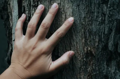 Illustration fingering - Image 1