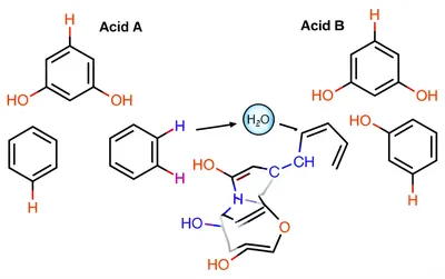 Illustration anhydrides