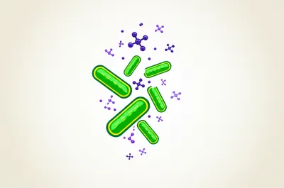 Illustration antibiotic - Image 1