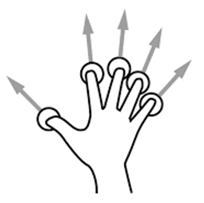 Illustration splay - Image 4