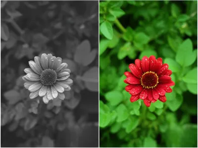 Illustration enhances - Image 1