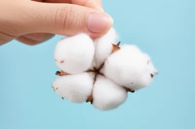 Illustration fluff - Image 1