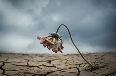 Illustration smart - Image 1