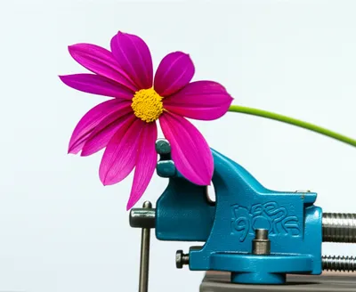 Illustration constricting