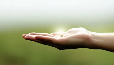 Illustration offer - Image 1