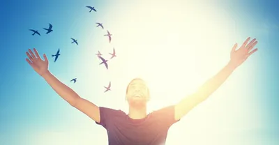 Illustration elate - Image 1