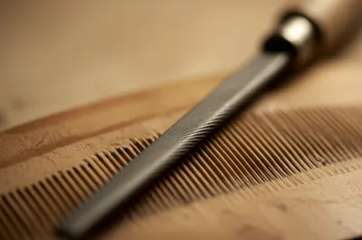 Illustration founds - Image 1