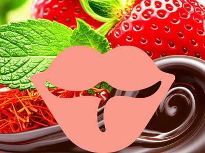 Illustration palate - Image 1