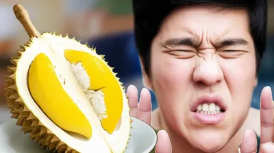 Illustration distaste - Image 1