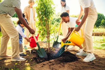 Illustration volunteering