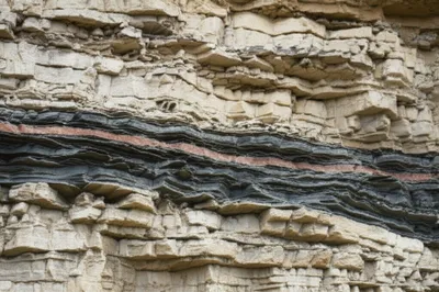 Illustration girdles - Image 1