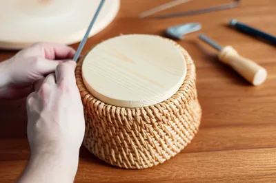 Illustration bottoms - Image 1