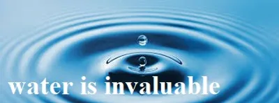 Illustration invaluable - Image 2