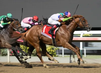 Illustration racers - Image 1