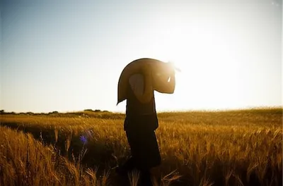 Illustration shoulder - Image 1