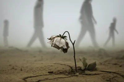 Illustration mattered - Image 1