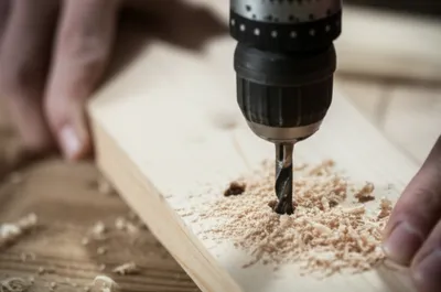 Illustration borers - Image 1