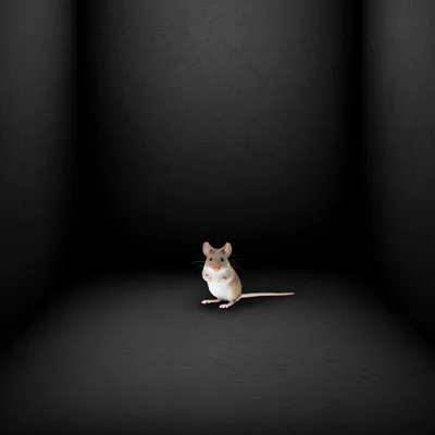 Illustration cornered - Image 1