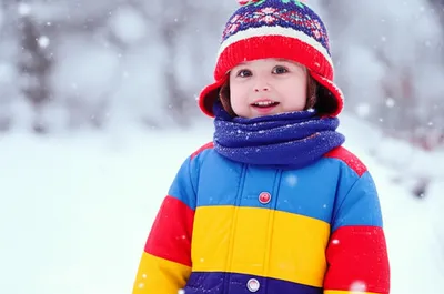 Illustration bundled - Image 1