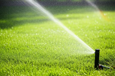 Illustration sprung - Image 1