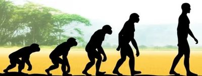 Illustration hominid - Image 1