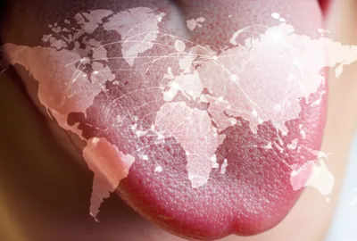 Illustration lingual - Image 1