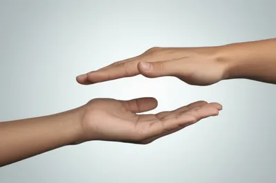 Illustration offer - Image 1