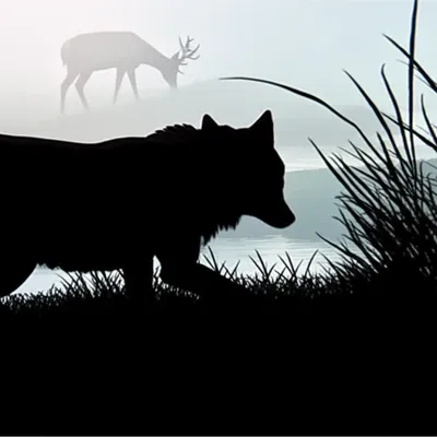 Illustration hunted - Image 1